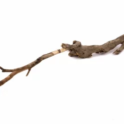 XL Talawa Wurzel Nr.9587 5 XL Talawa Wurzel Nr.9587 -Haus Dekoration Verkaufsgeschäft XL Talawa Wurzel Nr 9586 9587 2 22976