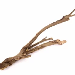 XL Talawa Wurzel Nr.9595 -Haus Dekoration Verkaufsgeschäft XL Talawa Wurzel Nr 9594 9595 2 22984