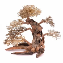 XXL Bonsai Baum Nr.13001 Wurzel Holz Aquarium Deko Aquascaping