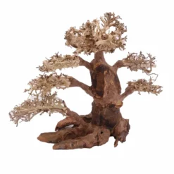XXL Bonsai Baum Nr.13007 Wurzel Holz Aquarium Deko Aquascaping -Haus Dekoration Verkaufsgeschäft XXL Bonsai Baum Nr 13006 Wurzel Holz Aquarium Deko Aquascaping 13007 3 Kopie 26241