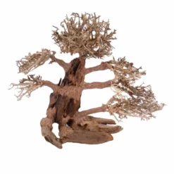 XXL Bonsai Baum Nr.13008 Wurzel Holz Aquarium Deko Aquascaping
