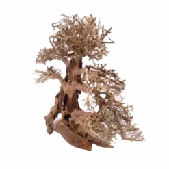 XXL Bonsai Baum Nr.13008 Wurzel Holz Aquarium Deko Aquascaping -Haus Dekoration Verkaufsgeschäft XXL Bonsai Baum Nr 13007 Wurzel Holz Aquarium Deko Aquascaping 13008 2 Kopie 26242
