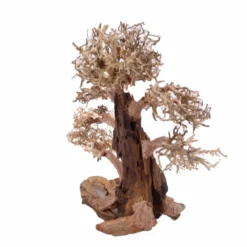 XXL Bonsai Baum Nr.13008 Wurzel Holz Aquarium Deko Aquascaping -Haus Dekoration Verkaufsgeschäft XXL Bonsai Baum Nr 13007 Wurzel Holz Aquarium Deko Aquascaping 13008 4 Kopie 26242