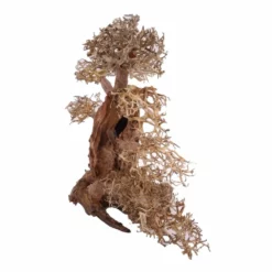 XXL Bonsai Baum Nr.13014 Wurzel Holz Aquarium Deko Aquascaping -Haus Dekoration Verkaufsgeschäft XXL Bonsai Baum Nr 13013 Wurzel Holz Aquarium Deko Aquascaping 13014 2 Kopie 26248