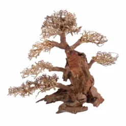 XXL Bonsai Baum Nr.13014 Wurzel Holz Aquarium Deko Aquascaping -Haus Dekoration Verkaufsgeschäft XXL Bonsai Baum Nr 13013 Wurzel Holz Aquarium Deko Aquascaping 13014 3 Kopie 26248