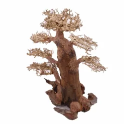 XXL Bonsai Baum Nr.13015 Wurzel Holz Aquarium Deko Aquascaping 5 XXL Bonsai Baum Nr.13015 Wurzel Holz Aquarium Deko Aquascaping -Haus Dekoration Verkaufsgeschäft XXL Bonsai Baum Nr 13014 Wurzel Holz Aquarium Deko Aquascaping 13015 2 Kopie 26249