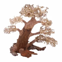 XXL Bonsai Baum Nr.13015 Wurzel Holz Aquarium Deko Aquascaping 6 XXL Bonsai Baum Nr.13015 Wurzel Holz Aquarium Deko Aquascaping -Haus Dekoration Verkaufsgeschäft XXL Bonsai Baum Nr 13014 Wurzel Holz Aquarium Deko Aquascaping 13015 3 Kopie 26249