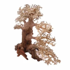 XXL Bonsai Baum Nr.13015 Wurzel Holz Aquarium Deko Aquascaping 7 XXL Bonsai Baum Nr.13015 Wurzel Holz Aquarium Deko Aquascaping -Haus Dekoration Verkaufsgeschäft XXL Bonsai Baum Nr 13014 Wurzel Holz Aquarium Deko Aquascaping 13015 4 Kopie 26249