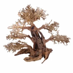 XXL Bonsai Baum Nr.13018 Wurzel Holz Aquarium Deko Aquascaping -Haus Dekoration Verkaufsgeschäft XXL Bonsai Baum Nr 13017 Wurzel Holz Aquarium Deko Aquascaping 13018 3 Kopie 26252