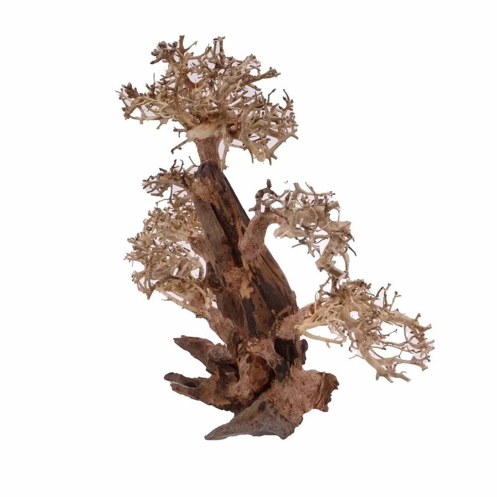 XXL Bonsai Baum Nr.13019 Wurzel Holz Aquarium Deko Aquascaping 3 XXL Bonsai Baum Nr.13019 Wurzel Holz Aquarium Deko Aquascaping – Bild 3