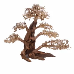 XXL Bonsai Baum Nr.13019 Wurzel Holz Aquarium Deko Aquascaping 7 XXL Bonsai Baum Nr.13019 Wurzel Holz Aquarium Deko Aquascaping -Haus Dekoration Verkaufsgeschäft XXL Bonsai Baum Nr 13018 Wurzel Holz Aquarium Deko Aquascaping 13019 3 Kopie 26253