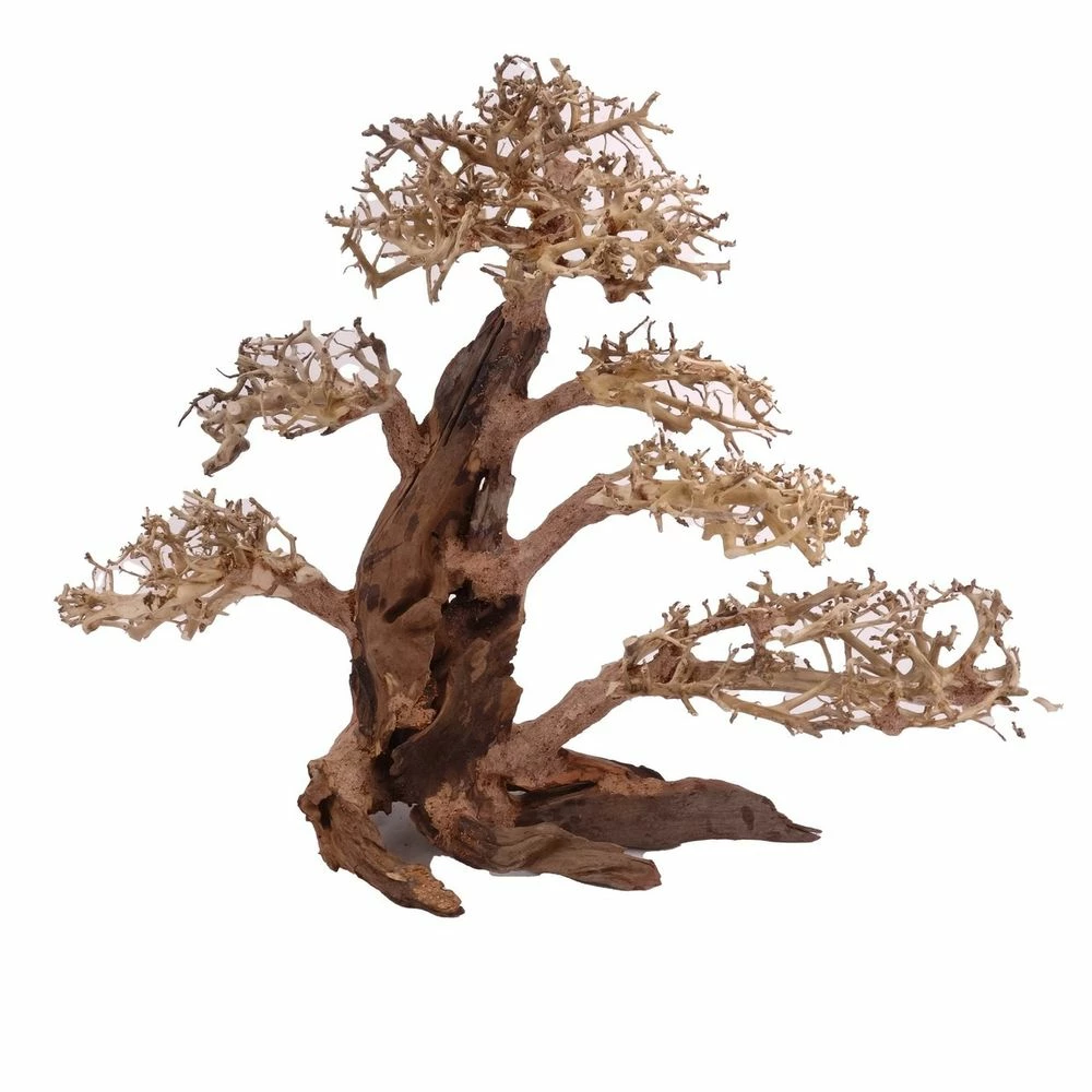 XXL Bonsai Baum Nr.13019 Wurzel Holz Aquarium Deko Aquascaping 4 XXL Bonsai Baum Nr.13019 Wurzel Holz Aquarium Deko Aquascaping – Bild 4