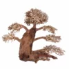 XXL Bonsai Baum Nr.13020 Wurzel Holz Aquarium Deko Aquascaping
