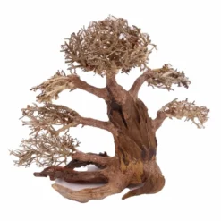 XXL Bonsai Baum Nr.13020 Wurzel Holz Aquarium Deko Aquascaping -Haus Dekoration Verkaufsgeschäft XXL Bonsai Baum Nr 13019 Wurzel Holz Aquarium Deko Aquascaping 13020 3 Kopie 26254