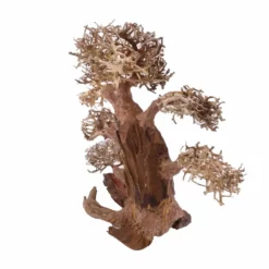 XXL Bonsai Baum Nr.13020 Wurzel Holz Aquarium Deko Aquascaping -Haus Dekoration Verkaufsgeschäft XXL Bonsai Baum Nr 13019 Wurzel Holz Aquarium Deko Aquascaping 13020 4 Kopie 26254