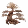 XXL Bonsai Baum Nr.13027 Wurzel Holz Aquarium Deko Aquascaping