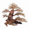 XXL Bonsai Baum Nr.13031 Wurzel Holz Aquarium Deko Aquascaping