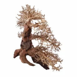 XXL Bonsai Baum Nr.13031 Wurzel Holz Aquarium Deko Aquascaping -Haus Dekoration Verkaufsgeschäft XXL Bonsai Baum Nr 13030 Wurzel Holz Aquarium Deko Aquascaping 13031 2 Kopie 26265