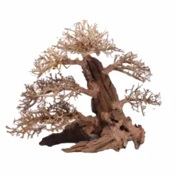 XXL Bonsai Baum Nr.13031 Wurzel Holz Aquarium Deko Aquascaping -Haus Dekoration Verkaufsgeschäft XXL Bonsai Baum Nr 13030 Wurzel Holz Aquarium Deko Aquascaping 13031 3 Kopie 26265