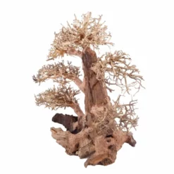 XXL Bonsai Baum Nr.13031 Wurzel Holz Aquarium Deko Aquascaping -Haus Dekoration Verkaufsgeschäft XXL Bonsai Baum Nr 13030 Wurzel Holz Aquarium Deko Aquascaping 13031 4 Kopie 26265