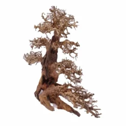 XXL Bonsai Baum Nr.13033 Wurzel Holz Aquarium Deko Aquascaping -Haus Dekoration Verkaufsgeschäft XXL Bonsai Baum Nr 13032 Wurzel Holz Aquarium Deko Aquascaping 13033 2 Kopie 26267
