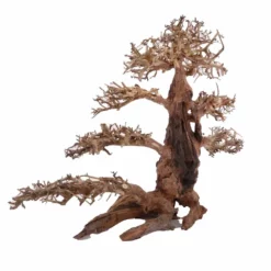 XXL Bonsai Baum Nr.13033 Wurzel Holz Aquarium Deko Aquascaping -Haus Dekoration Verkaufsgeschäft XXL Bonsai Baum Nr 13032 Wurzel Holz Aquarium Deko Aquascaping 13033 3 Kopie 26267