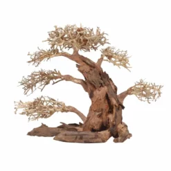 XXL Bonsai Baum Nr.13040 Wurzel Holz Aquarium Deko Aquascaping -Haus Dekoration Verkaufsgeschäft XXL Bonsai Baum Nr 13039 Wurzel Holz Aquarium Deko Aquascaping 13040 2 29691