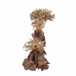 XXL Bonsai Baum Nr.13040 Wurzel Holz Aquarium Deko Aquascaping -Haus Dekoration Verkaufsgeschäft XXL Bonsai Baum Nr 13039 Wurzel Holz Aquarium Deko Aquascaping 13040 4 29691