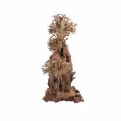 XXL Bonsai Baum Nr.13044 Wurzel Holz Aquarium Deko Aquascaping -Haus Dekoration Verkaufsgeschäft XXL Bonsai Baum Nr 13043 Wurzel Holz Aquarium Deko Aquascaping 13044 3 29695