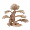 XXL Bonsai Baum Nr.13048 Wurzel Holz Aquarium Deko Aquascaping