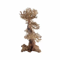 XXL Bonsai Baum Nr.13048 Wurzel Holz Aquarium Deko Aquascaping -Haus Dekoration Verkaufsgeschäft XXL Bonsai Baum Nr 13047 Wurzel Holz Aquarium Deko Aquascaping 13048 4 29699