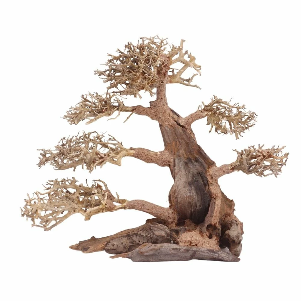 XXL Bonsai Baum Nr.13049 Wurzel Holz Aquarium Deko Aquascaping 2 XXL Bonsai Baum Nr.13049 Wurzel Holz Aquarium Deko Aquascaping – Bild 2
