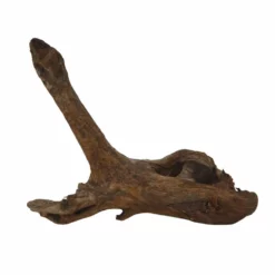 XXL Mangrovenwurzel Nr.6684 Holz Deko Aquascaping -Haus Dekoration Verkaufsgeschäft XXL Mangrovenwurzel Nr 6683 Holz Deko Aquascaping 6684 3 30275