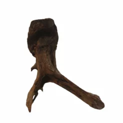 XXL Mangrovenwurzel Nr.6684 Holz Deko Aquascaping -Haus Dekoration Verkaufsgeschäft XXL Mangrovenwurzel Nr 6683 Holz Deko Aquascaping 6684 4 30275