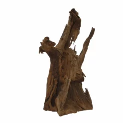 XXL Mangrovenwurzel Nr.6689 Holz Deko Aquascaping -Haus Dekoration Verkaufsgeschäft XXL Mangrovenwurzel Nr 6688 Holz Deko Aquascaping 6689 5 30280