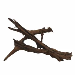 XXL Mangrovenwurzel Nr.6691 Holz Deko Aquascaping -Haus Dekoration Verkaufsgeschäft XXL Mangrovenwurzel Nr 6690 Holz Deko Aquascaping 6691 3 30282