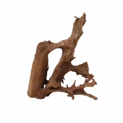 XXL Mangrovenwurzel Nr.7014 Holz Deko Aquascaping -Haus Dekoration Verkaufsgeschäft XXL Mangrovenwurzel Nr 7013 Holz Deko Aquascaping 7014 4 30667