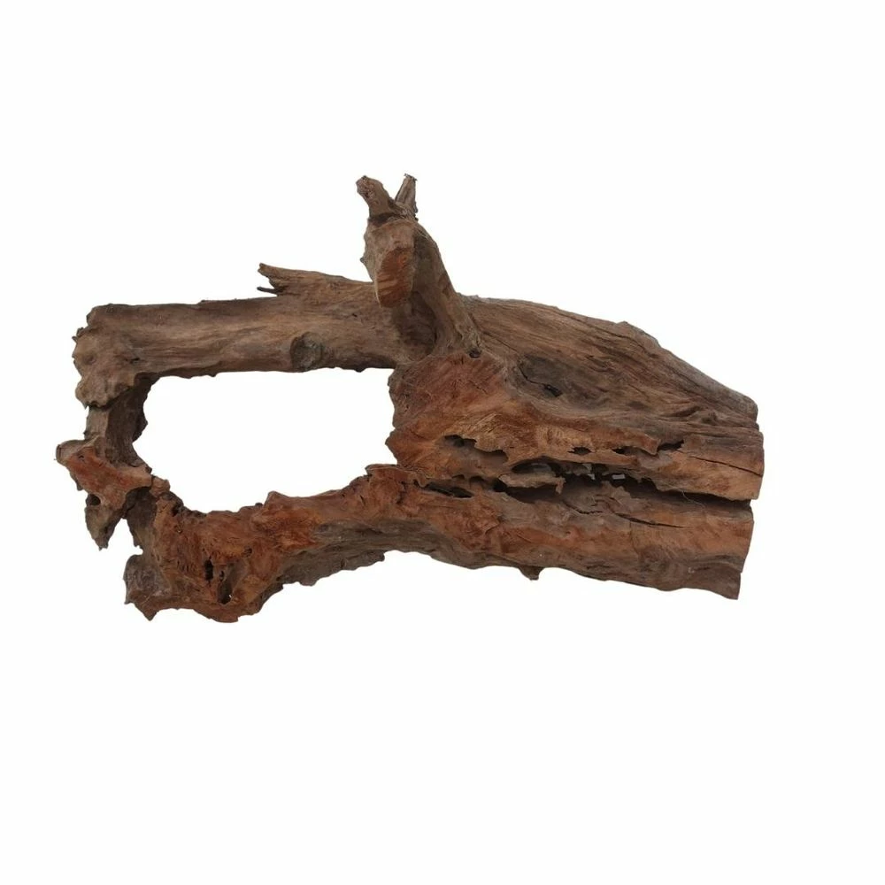 XXL Mangrovenwurzel Nr.7023 Holz Deko Aquascaping 2 XXL Mangrovenwurzel Nr.7023 Holz Deko Aquascaping – Bild 2