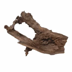 XXL Mangrovenwurzel Nr.7023 Holz Deko Aquascaping 6 XXL Mangrovenwurzel Nr.7023 Holz Deko Aquascaping -Haus Dekoration Verkaufsgeschäft XXL Mangrovenwurzel Nr 7022 Holz Deko Aquascaping 7023 3 30676