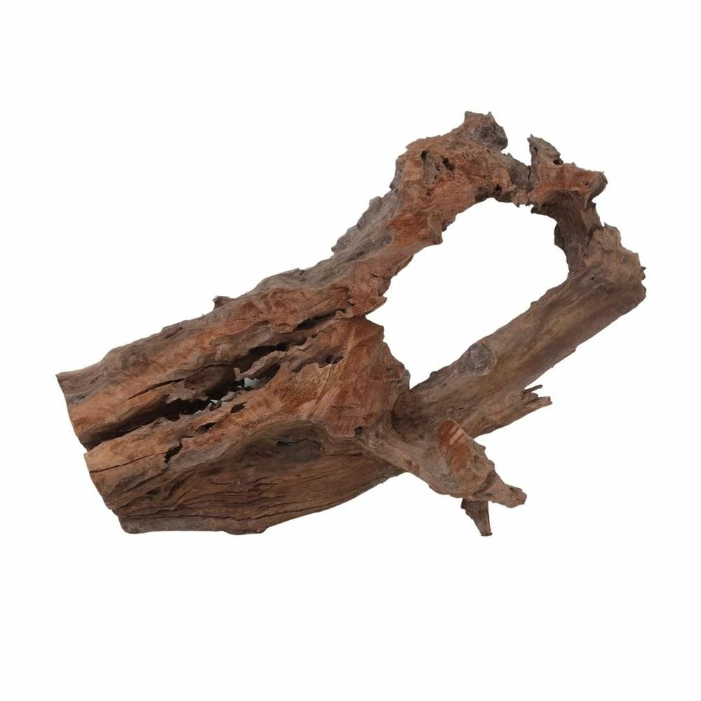 XXL Mangrovenwurzel Nr.7023 Holz Deko Aquascaping 4 XXL Mangrovenwurzel Nr.7023 Holz Deko Aquascaping – Bild 4
