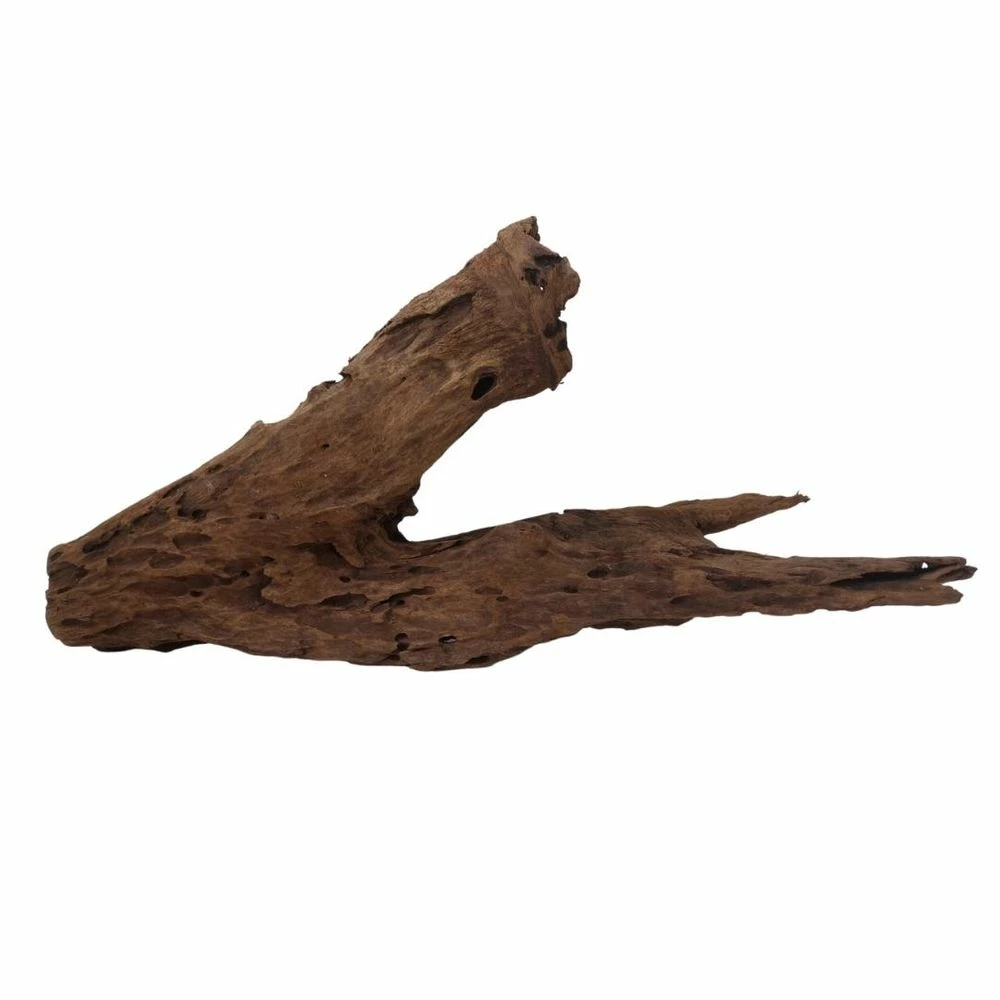 XXL Mangrovenwurzel Nr.7036 Holz Deko Aquascaping 2 XXL Mangrovenwurzel Nr.7036 Holz Deko Aquascaping – Bild 2