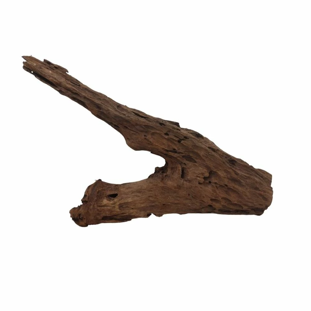 XXL Mangrovenwurzel Nr.7036 Holz Deko Aquascaping 3 XXL Mangrovenwurzel Nr.7036 Holz Deko Aquascaping – Bild 3