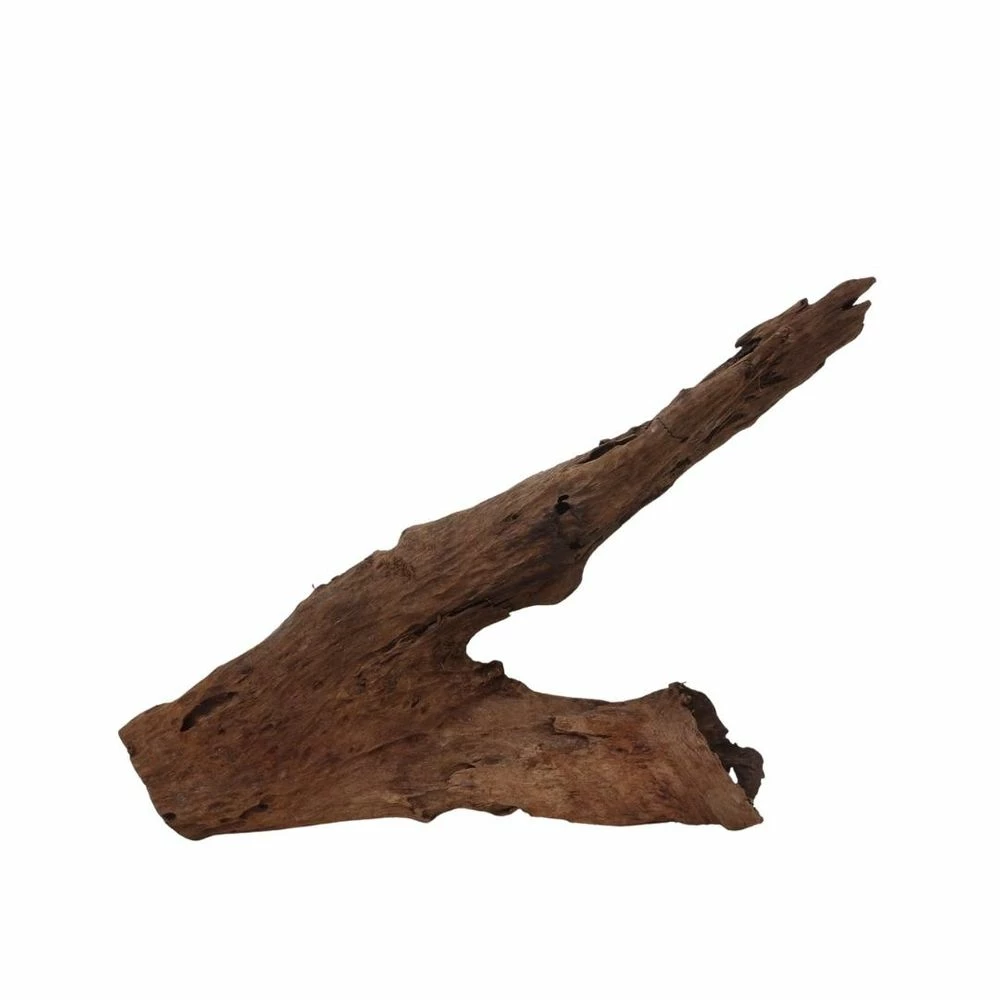 XXL Mangrovenwurzel Nr.7036 Holz Deko Aquascaping 4 XXL Mangrovenwurzel Nr.7036 Holz Deko Aquascaping – Bild 4