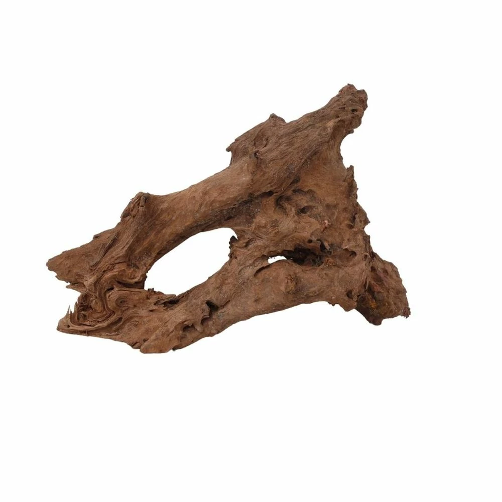 XXL Mangrovenwurzel Nr.7045 Holz Deko Aquascaping 2 XXL Mangrovenwurzel Nr.7045 Holz Deko Aquascaping – Bild 2