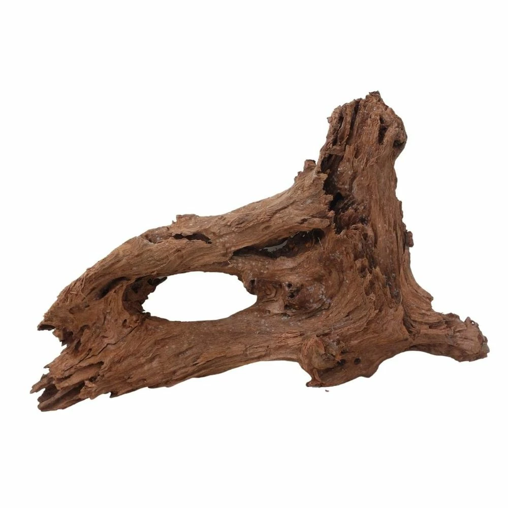 XXL Mangrovenwurzel Nr.7045 Holz Deko Aquascaping 3 XXL Mangrovenwurzel Nr.7045 Holz Deko Aquascaping – Bild 3
