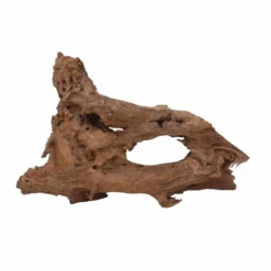 XXL Mangrovenwurzel Nr.7045 Holz Deko Aquascaping 7 XXL Mangrovenwurzel Nr.7045 Holz Deko Aquascaping -Haus Dekoration Verkaufsgeschäft XXL Mangrovenwurzel Nr 7044 Holz Deko Aquascaping 7045 4 30698