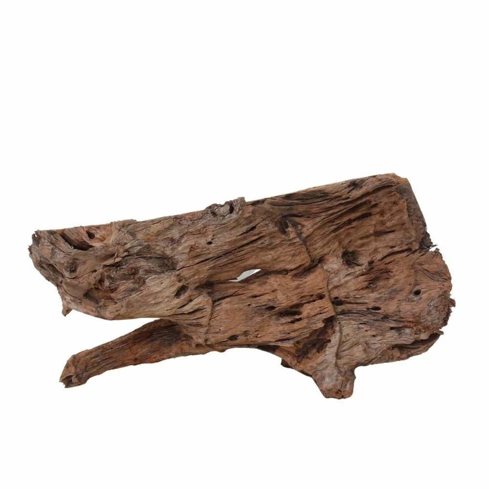 XXL Mangrovenwurzel Nr.7047 Holz Deko Aquascaping 3 XXL Mangrovenwurzel Nr.7047 Holz Deko Aquascaping – Bild 3