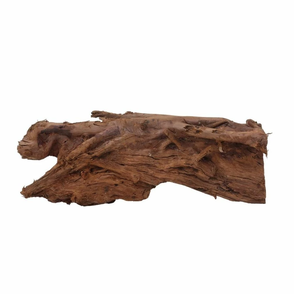 XXL Mangrovenwurzel Nr.7049 Holz Deko Aquascaping 2 XXL Mangrovenwurzel Nr.7049 Holz Deko Aquascaping – Bild 2