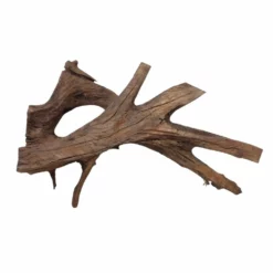 XXL Mangrovenwurzel Nr.7050 Holz Deko Aquascaping -Haus Dekoration Verkaufsgeschäft XXL Mangrovenwurzel Nr 7049 Holz Deko Aquascaping 7050 4 30703