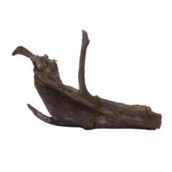 XXL Mangrovenwurzel Nr.7067 Holz Deko Aquascaping -Haus Dekoration Verkaufsgeschäft XXL Mangrovenwurzel Nr 7066Holz Deko Aquascaping 7067 3 30739